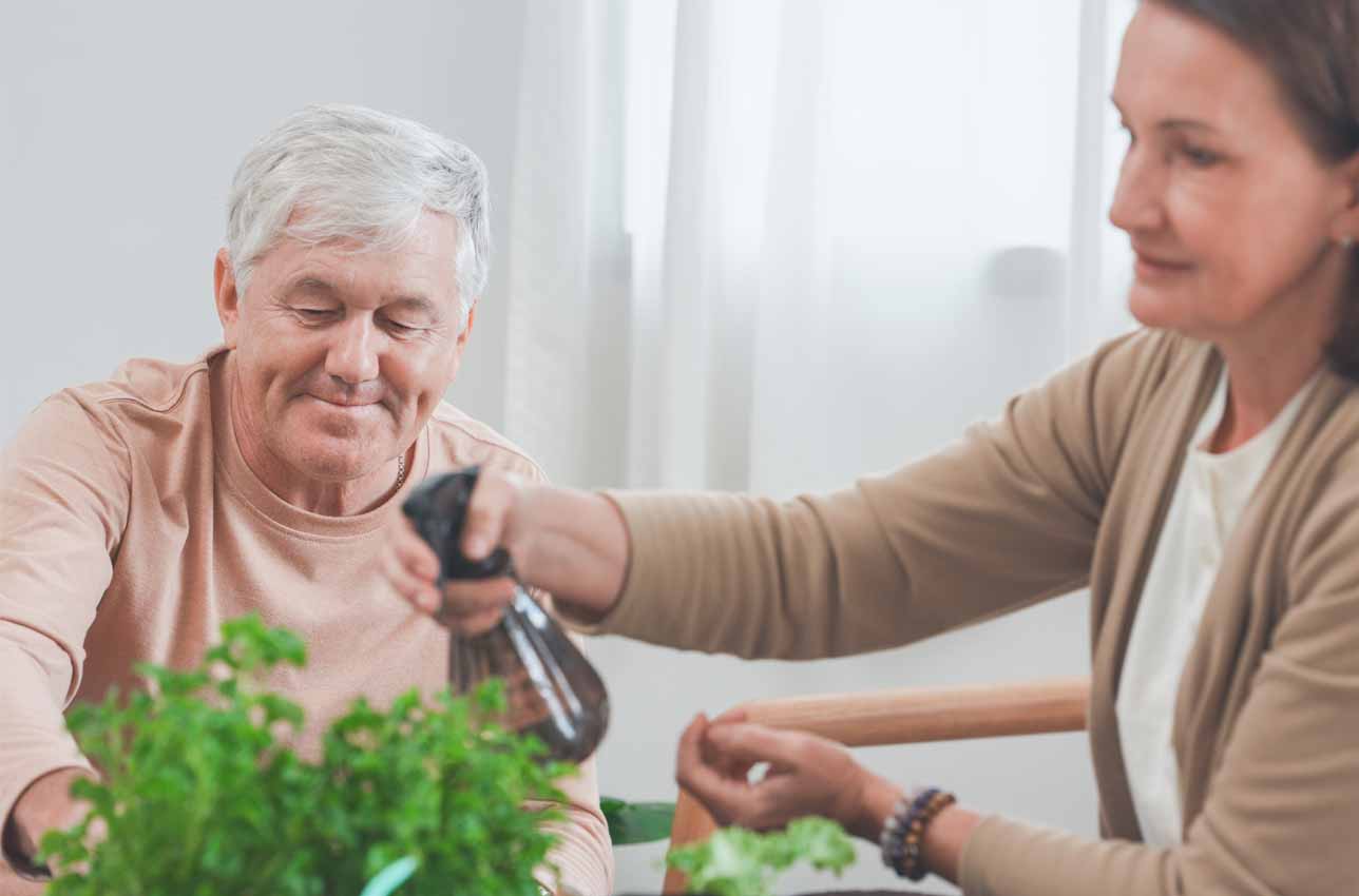 Senior couple tending to indoor plants at home